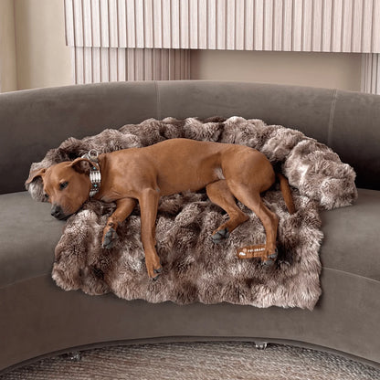 Luxurious Sofa Bed for Dogs (1+1 FREE)