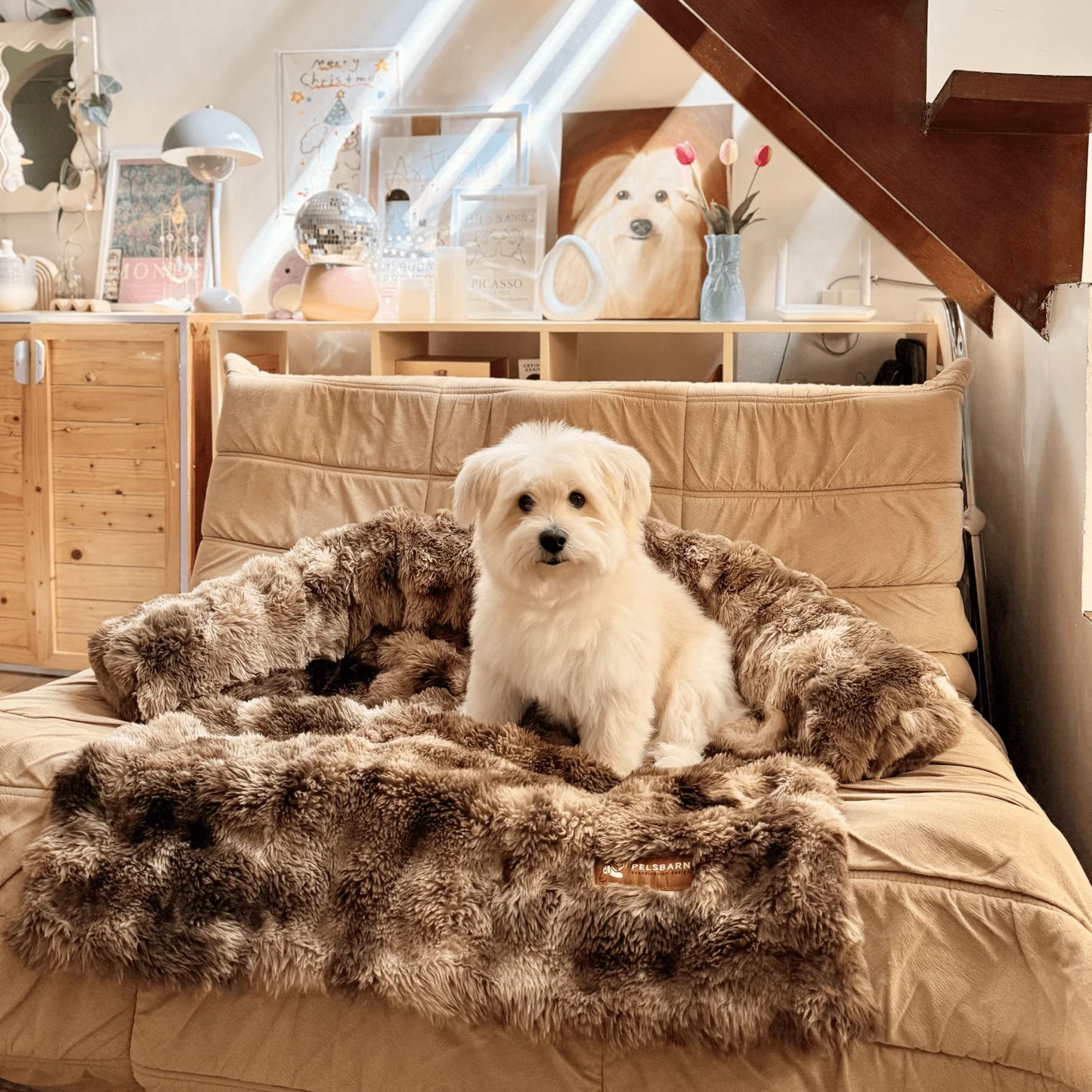 Luxurious Sofa Bed for Dogs (1+1 FREE)