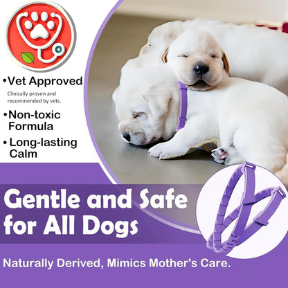Natural Pheromone Calming Collar - Paw Fit Gears