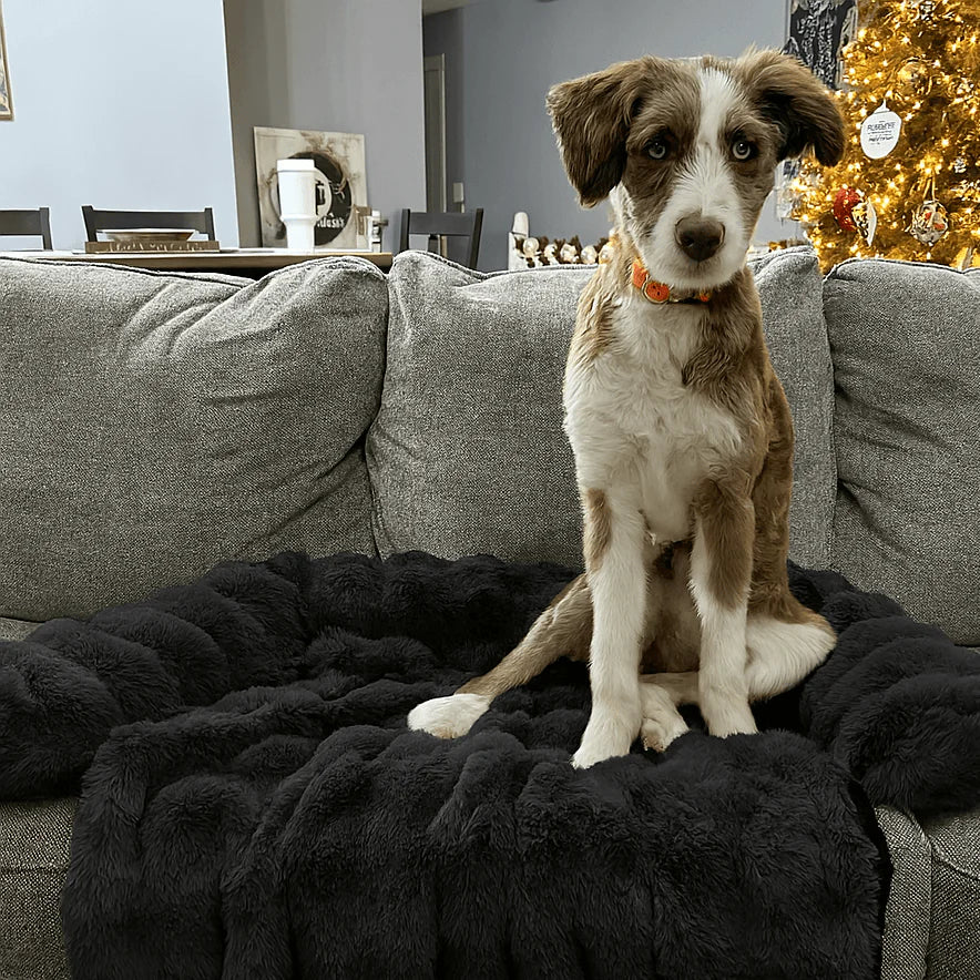 Luxurious Sofa Bed for Dogs (1+1 FREE)