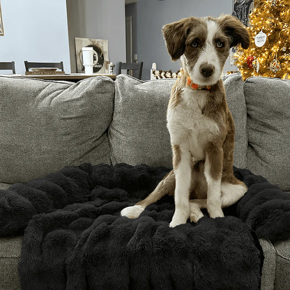 Luxurious Sofa Bed for Dogs (1+1 FREE)