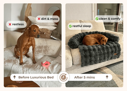 Luxurious Sofa Bed for Dogs (1+1 FREE)
