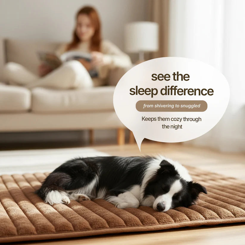 Self-heating pet mat