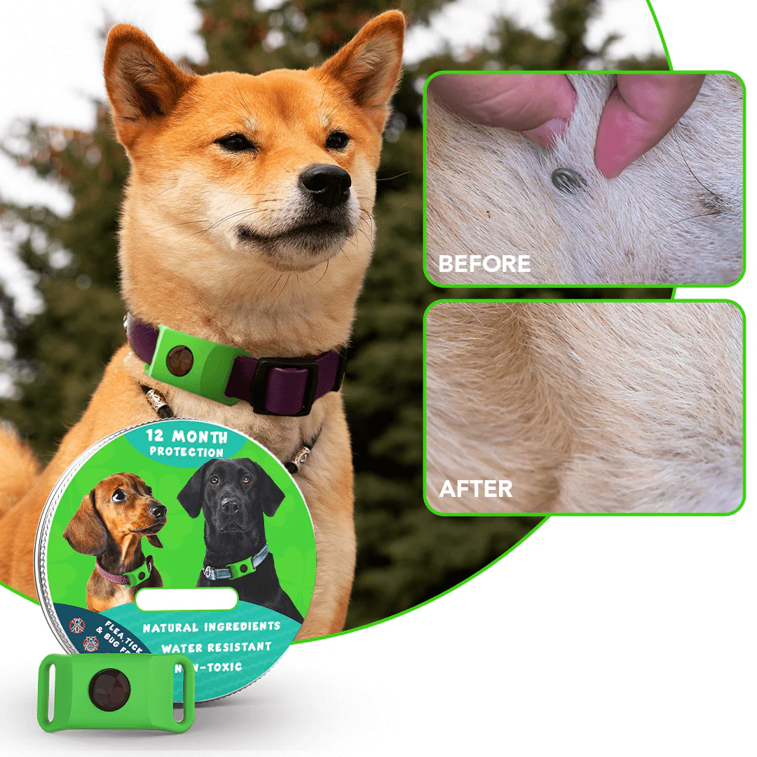 Waterproof 12-Month Flea & Tick Repellent Pendant with Natural Pest Prevention