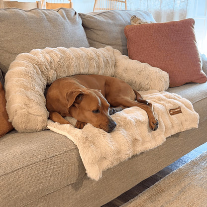 Luxurious Sofa Bed for Dogs (1+1 FREE)