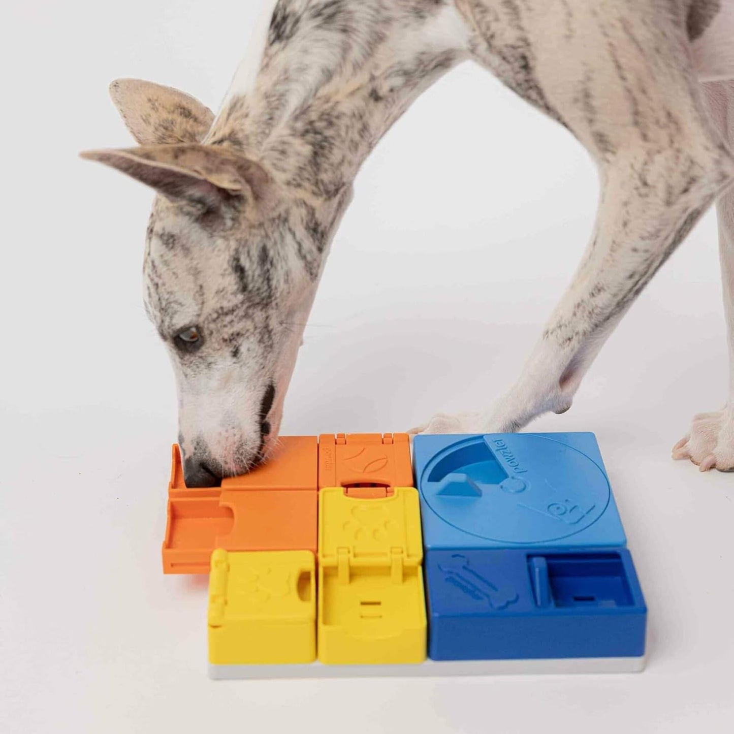Rainbow Set  - Modular Dog Puzzle |  Interactive Dog Treat Puzzles for Canine Enrichment