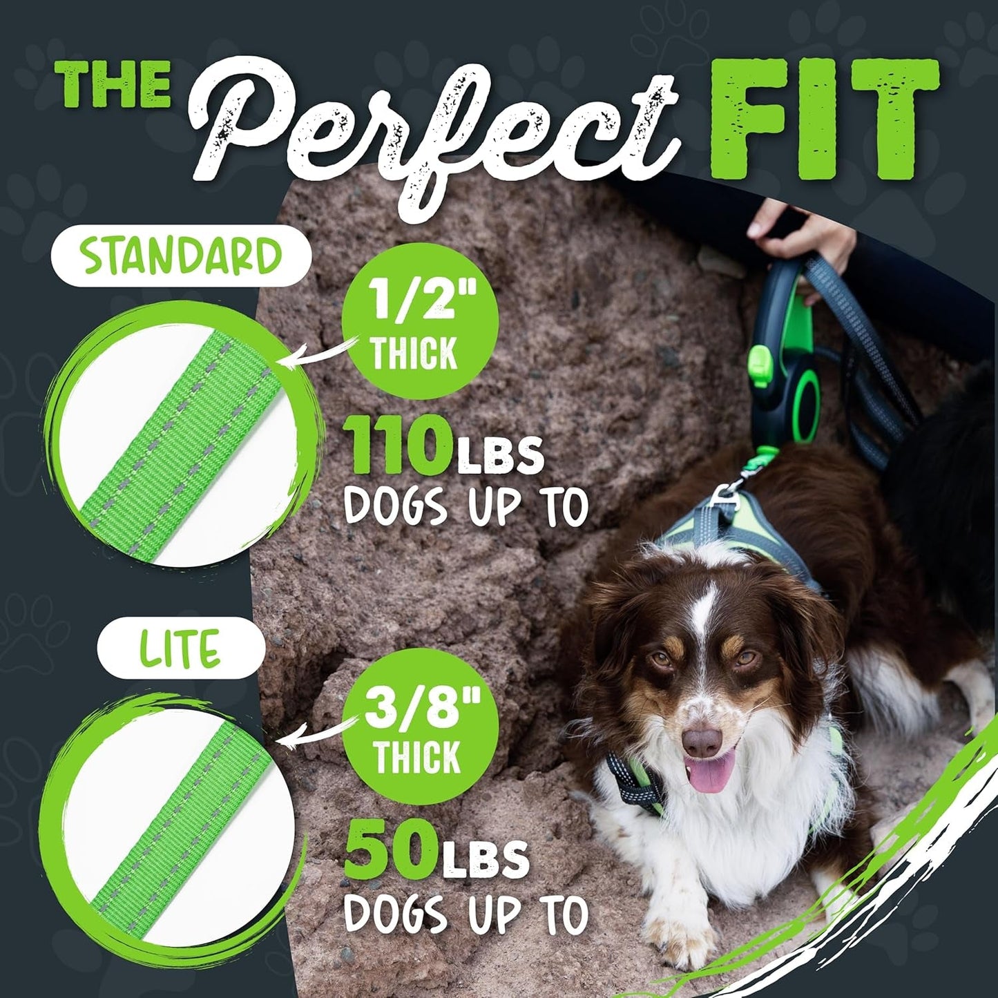 Mighty Paw Retractable Dog Leash 2.0 – 16ft Reflective Nylon for Dogs up to 50 lbs (Green) - Paw Fit Gears