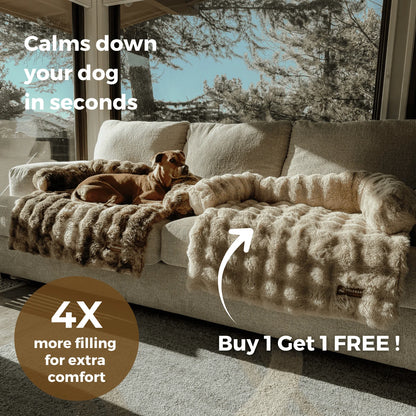 Luxurious Sofa Bed for Dogs (1+1 FREE)